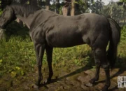 https://www.gtabase.com/red-dead-redemption-2/horses/black-american-standardbred görseli