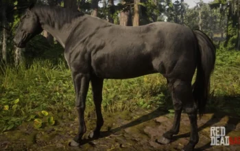 https://www.gtabase.com/red-dead-redemption-2/horses/black-american-standardbred görseli