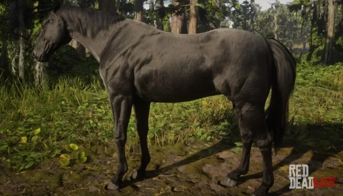 https://www.gtabase.com/red-dead-redemption-2/horses/black-american-standardbred görseli