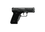 WM 29 Pistol görseli