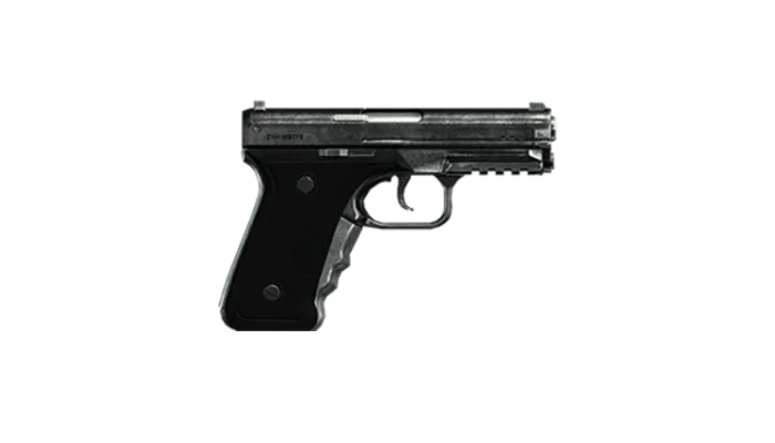WM 29 Pistol görseli